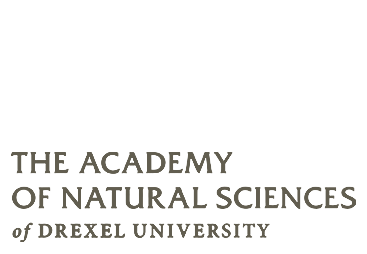 Bronze – The Acadamy of Natural Sciences of Drexel University